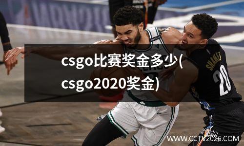 csgo比赛奖金多少(csgo2020奖金)