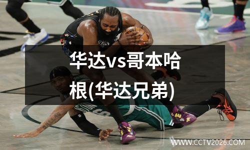 华达vs哥本哈根(华达兄弟)