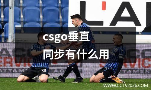 csgo垂直同步有什么用