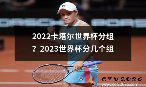 2022卡塔尔世界杯分组？2023世界杯分几个组