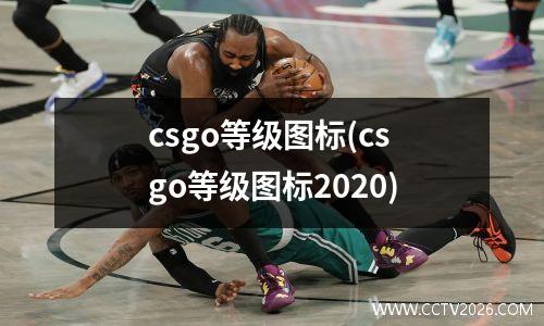 csgo等级图标(csgo等级图标2020)