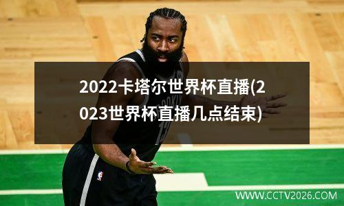 2022卡塔尔世界杯直播(2023世界杯直播几点结束)