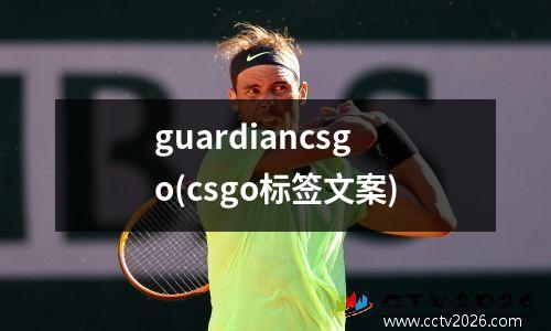 guardiancsgo(csgo标签文案)