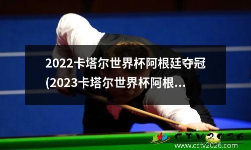 2022卡塔尔世界杯阿根廷夺冠(2023卡塔尔世界杯阿根廷赢率)