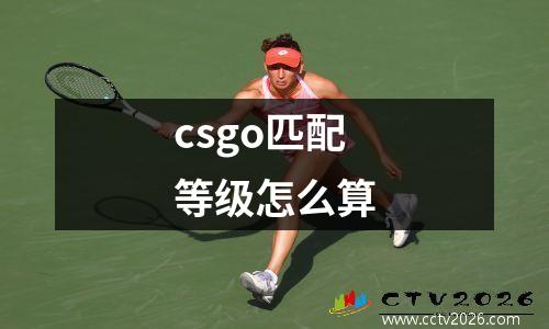 csgo匹配等级怎么算