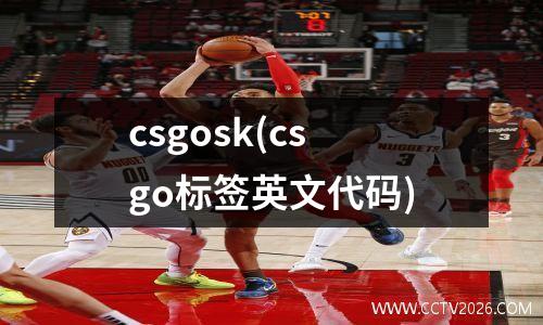 csgosk(csgo标签英文代码)