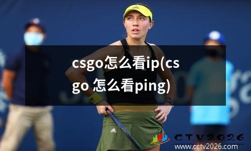 沙特vs中国结果