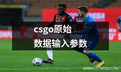 csgo原始数据输入参数