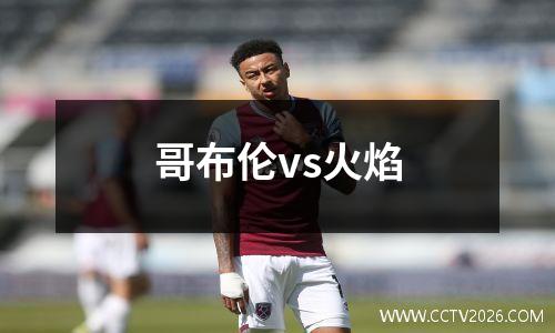 哥布伦vs火焰