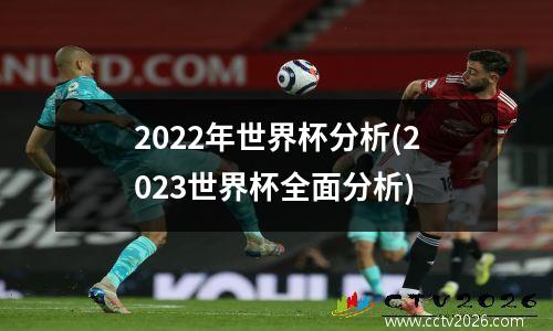 2022年世界杯分析(2023世界杯全面分析)