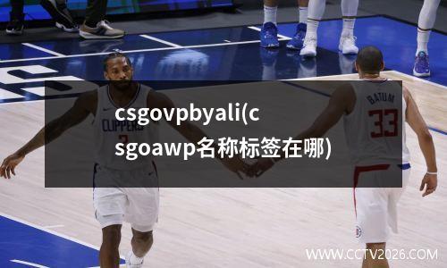 csgovpbyali(csgoawp名称标签在哪)