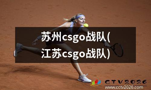 苏州csgo战队(江苏csgo战队)