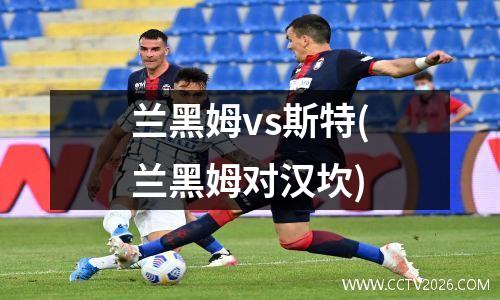 兰黑姆vs斯特(兰黑姆对汉坎)