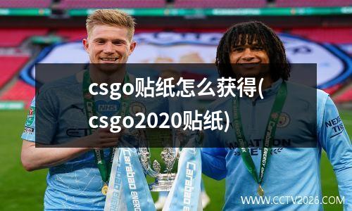 csgo贴纸怎么获得(csgo2020贴纸)