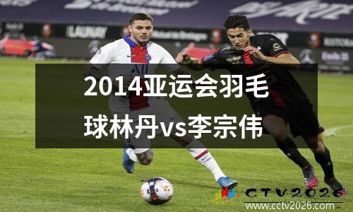 2014亚运会羽毛球林丹vs李宗伟