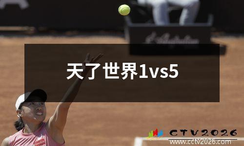 天了世界1vs5