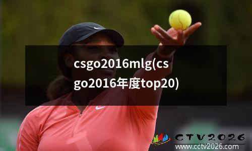 csgo2016mlg(csgo2016年度top20)
