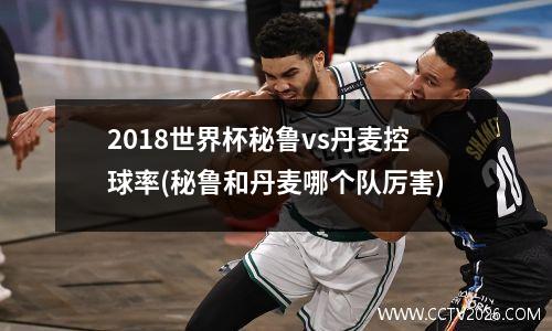 2018世界杯秘鲁vs丹麦控球率(秘鲁和丹麦哪个队厉害)