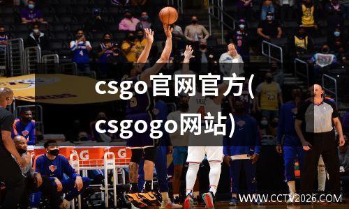csgo官网官方(csgogo网站)