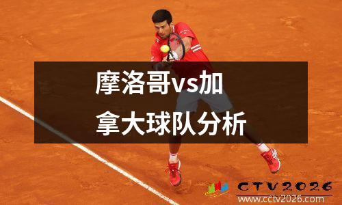 摩洛哥vs加拿大球队分析