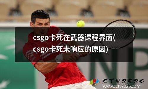 csgo卡死在武器课程界面(csgo卡死未响应的原因)