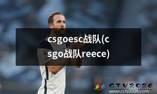 csgoesc战队(csgo战队reece)
