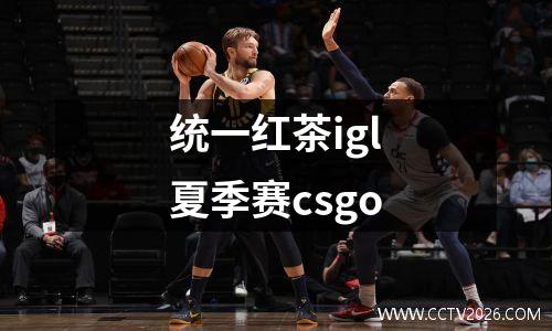 统一红茶igl夏季赛csgo