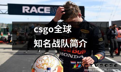 csgo全球知名战队简介