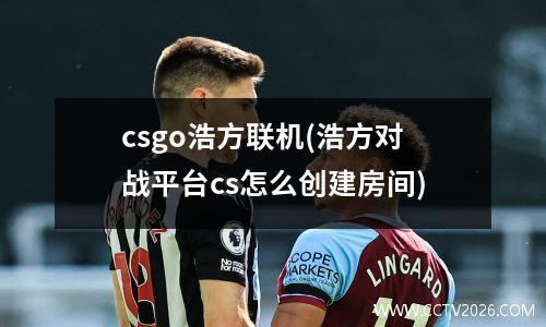 csgo浩方联机(浩方对战平台cs怎么创建房间)