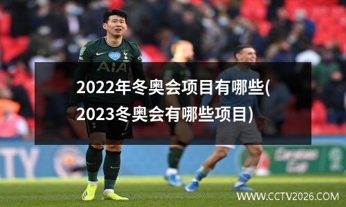 2022年冬奥会项目有哪些(2023冬奥会有哪些项目)