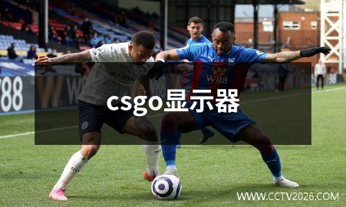 csgo显示器