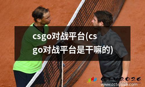 csgo对战平台(csgo对战平台是干嘛的)