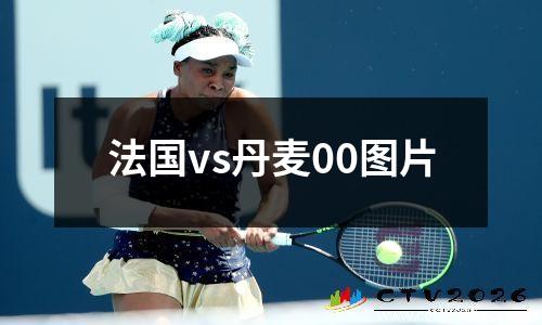 法国vs丹麦00图片