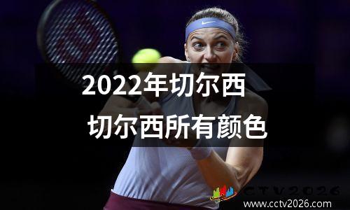 2022年切尔西 切尔西所有颜色