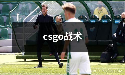 csgo战术