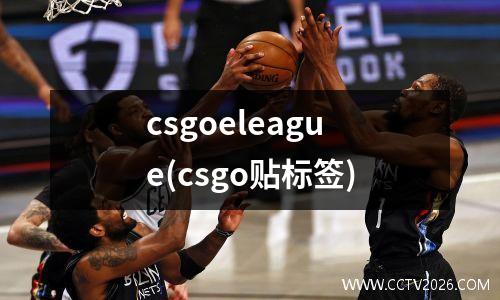 csgoeleague(csgo贴标签)