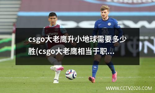 csgo大老鹰升小地球需要多少胜(csgo大老鹰相当于职业什么水平)