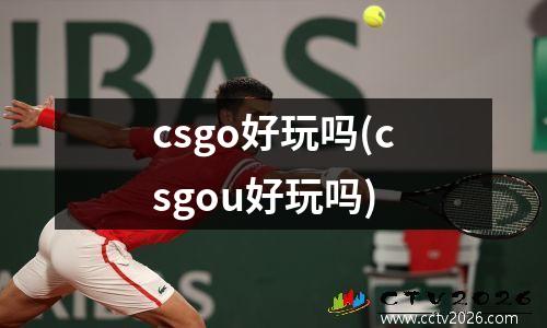 csgo好玩吗(csgou好玩吗)