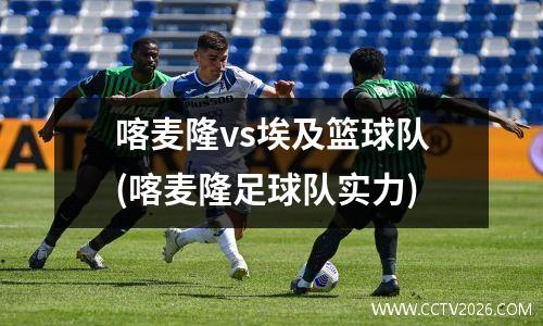 喀麦隆vs埃及篮球队(喀麦隆足球队实力)