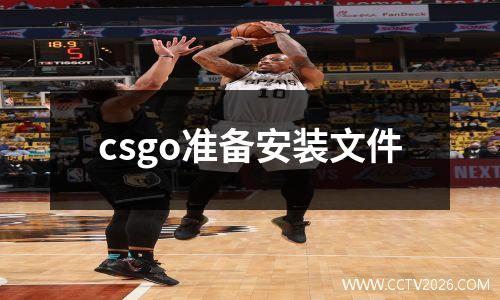 csgo准备安装文件