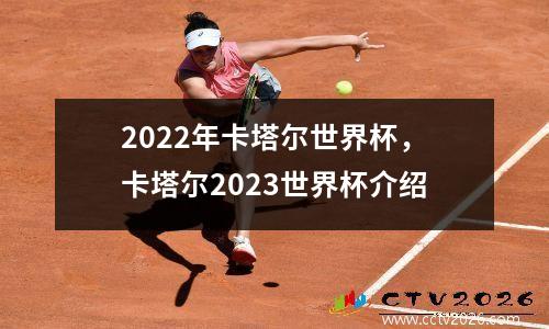 2022年卡塔尔世界杯，卡塔尔2023世界杯介绍
