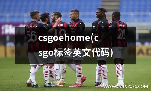 csgoehome(csgo标签英文代码)