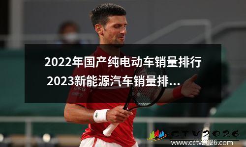 2022年国产纯电动车销量排行 2023新能源汽车销量排名