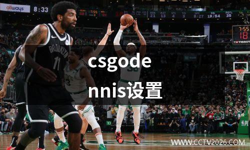 csgodennis设置