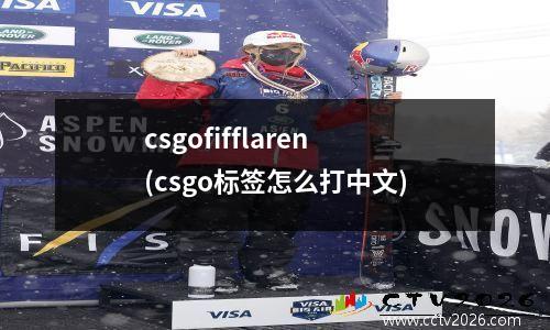 csgofifflaren(csgo标签怎么打中文)