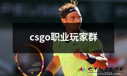 csgo职业玩家群