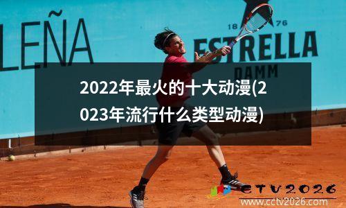 2022年最火的十大动漫(2023年流行什么类型动漫)