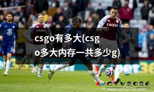 csgo有多大(csgo多大内存一共多少g)