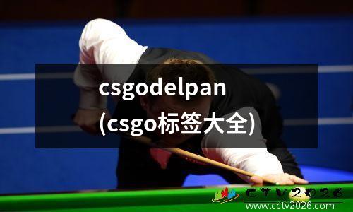 csgodelpan(csgo标签大全)
