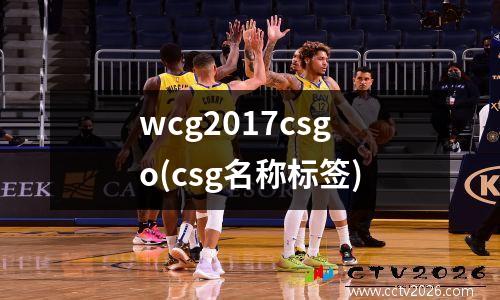 wcg2017csgo(csg名称标签)